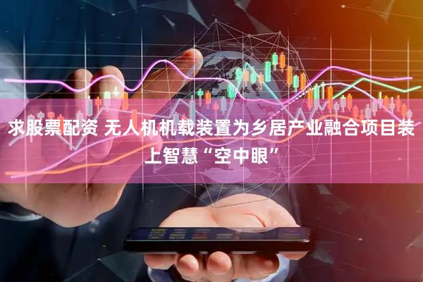 求股票配资 无人机机载装置为乡居产业融合项目装上智慧“空中眼”